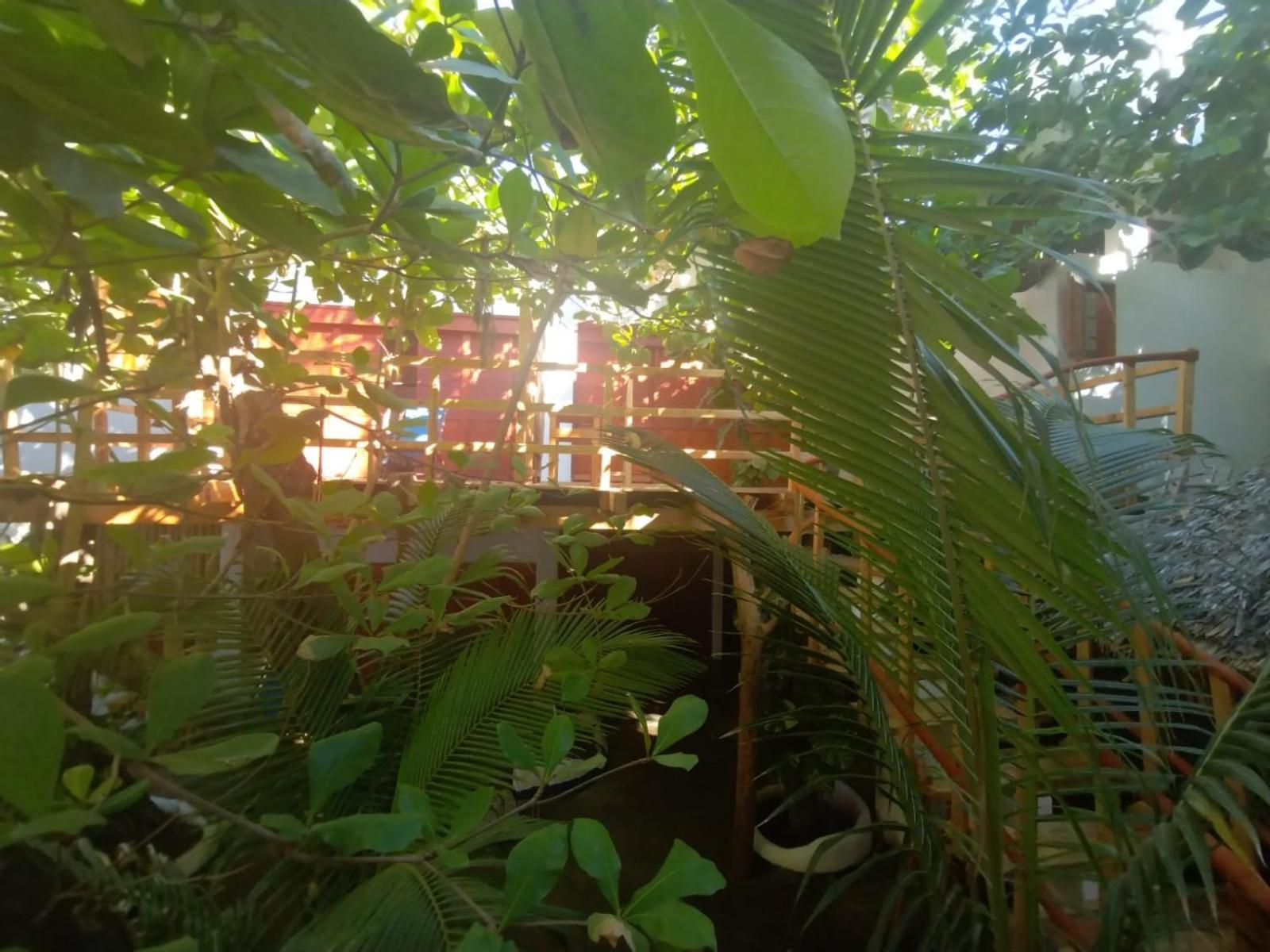 Bambu Ecocabanas San Agustinillo Extérieur photo