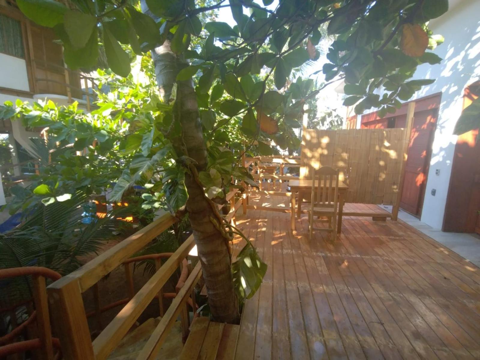 Bambu Ecocabanas San Agustinillo Extérieur photo